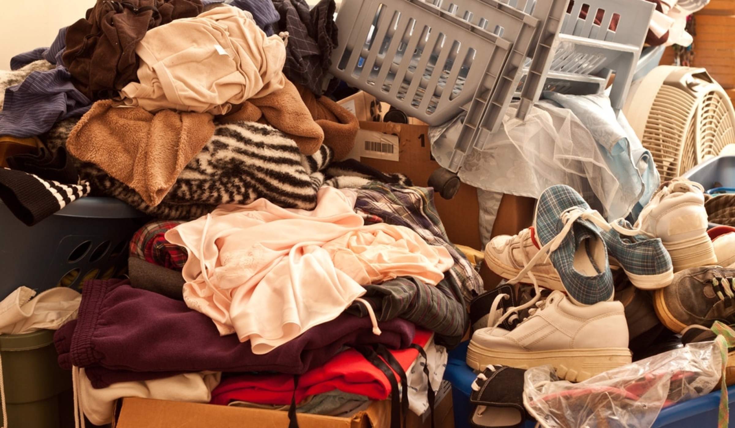 Les spécialistes aide les accumulateurs compulsifs EExterminateur
